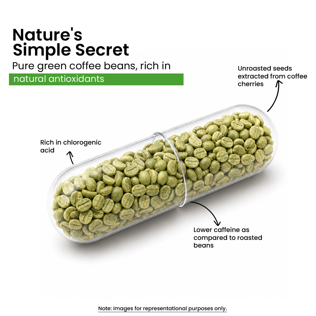 Sheopals Green Coffee Beans for Healthy Weight Management