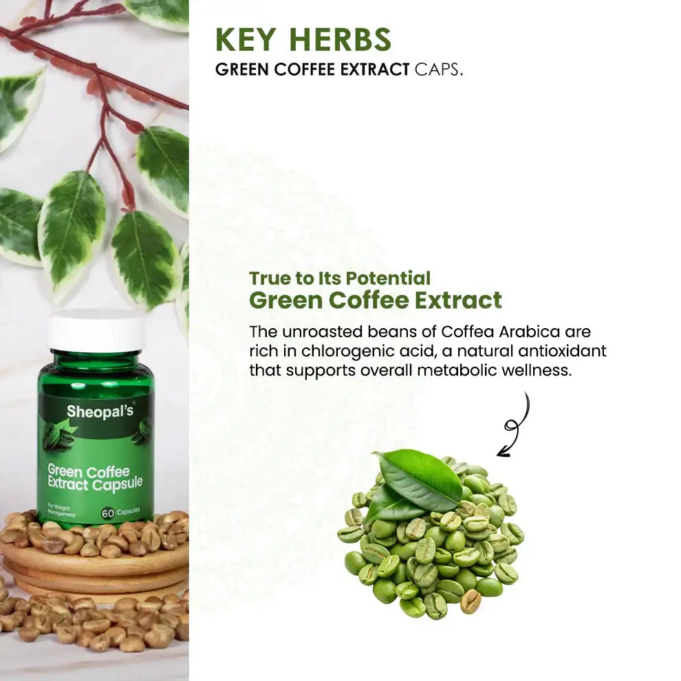 Sheopal’s Green Coffee Extract Capsules | Ayurvedic Weight Management Support | 60 Capsules
