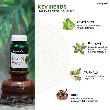 Sheopal's LiverX Factor | Ayurvedic Liver Care Capsules | 60 Caps