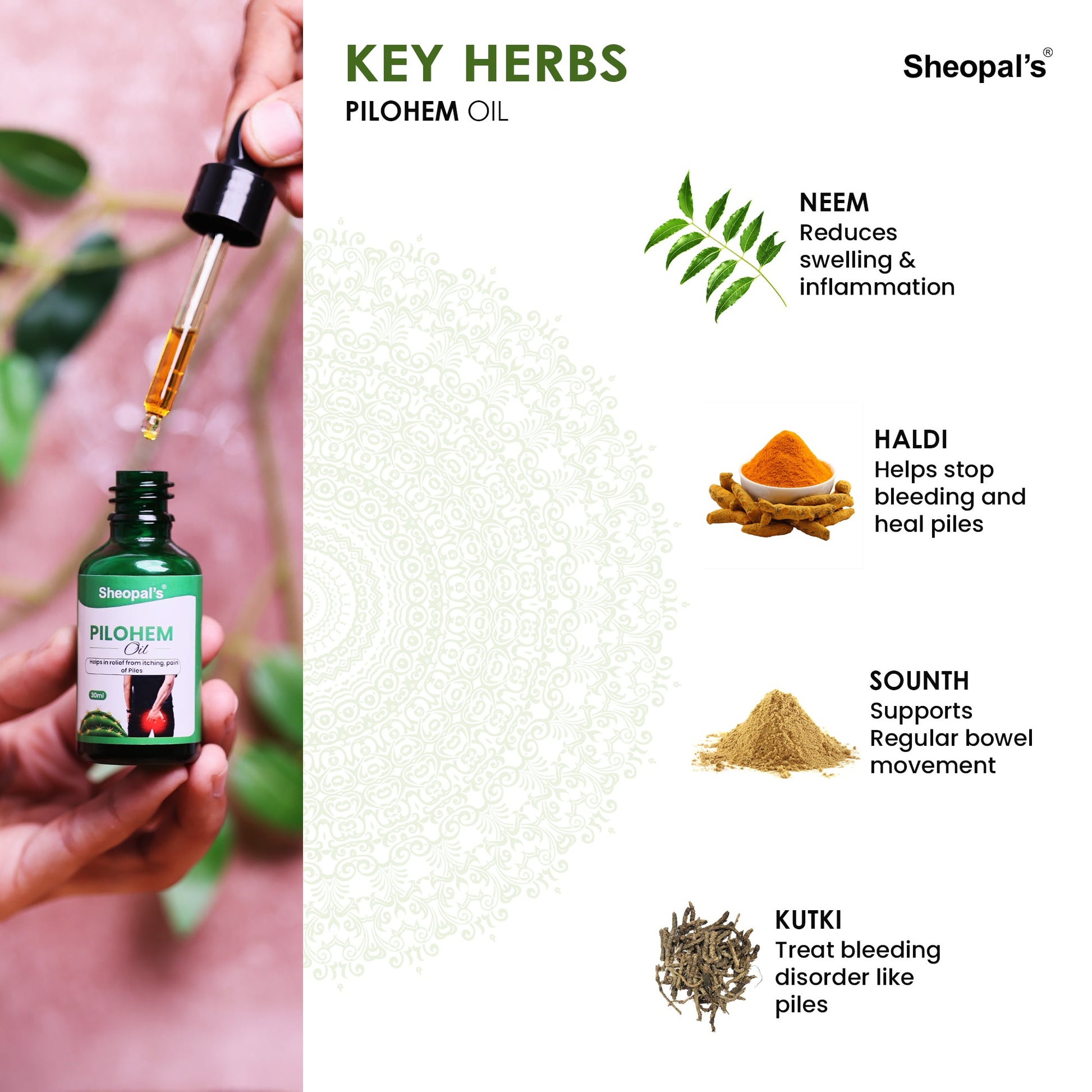 Key Ayurvedic herbs in Sheopals Pilohem piles oil neem haldi saunth kutki