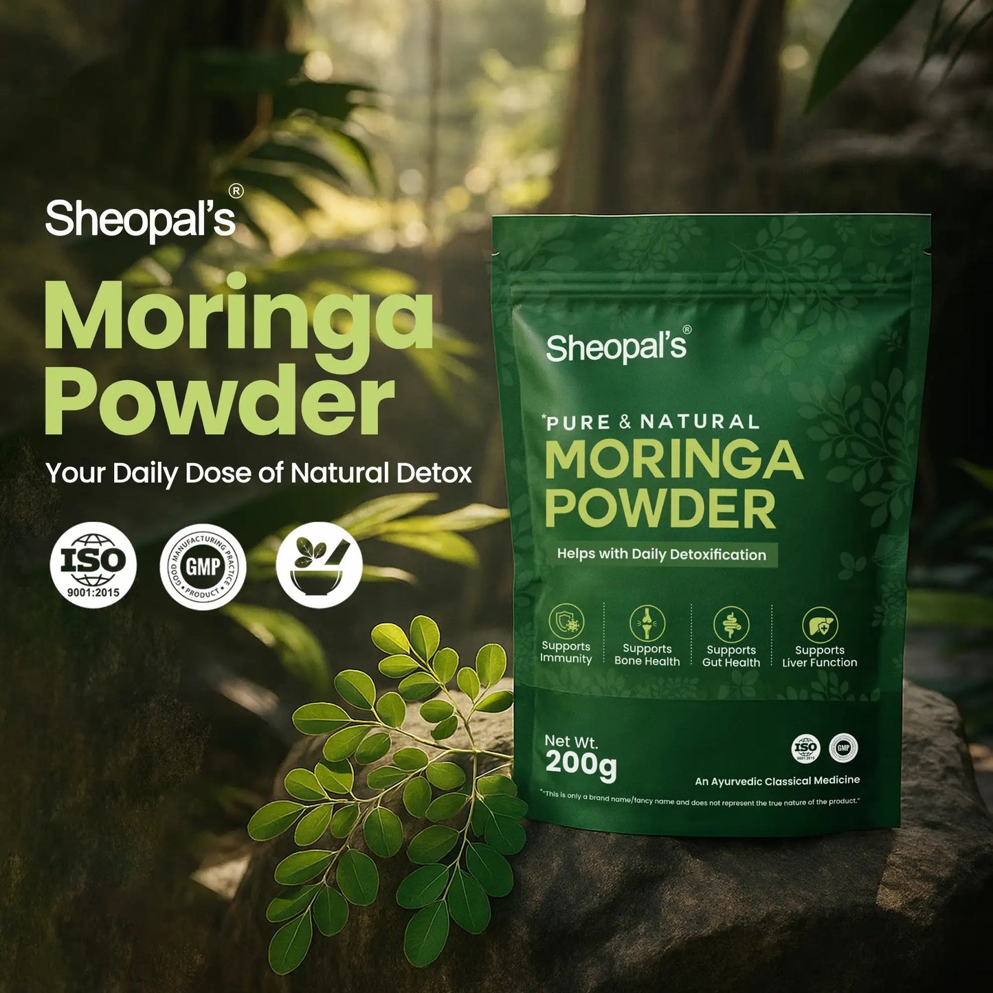 organic moringa powder by Sheopals natural detox supplement