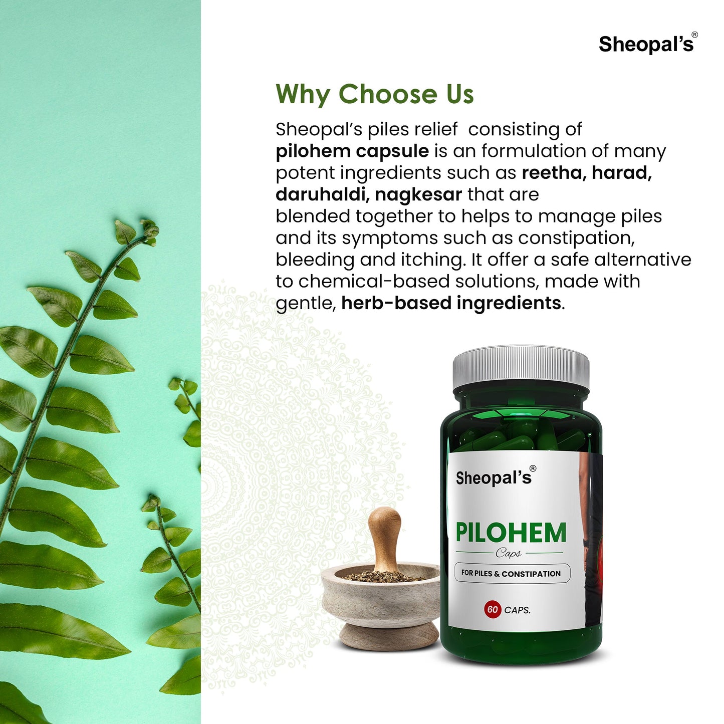 Pilohem piles care capsules benefits and usage