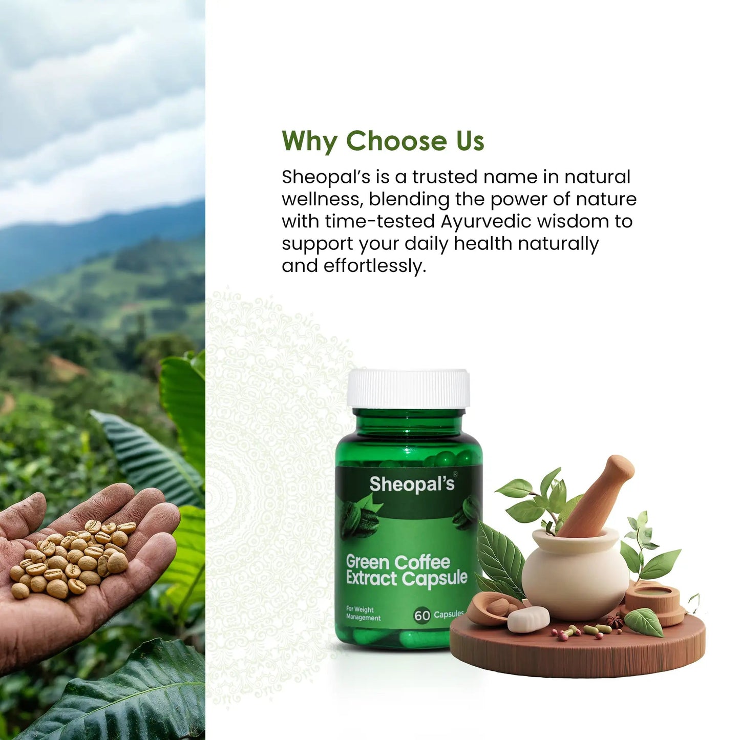 Why choose Sheopal's Green Coffee Capsules