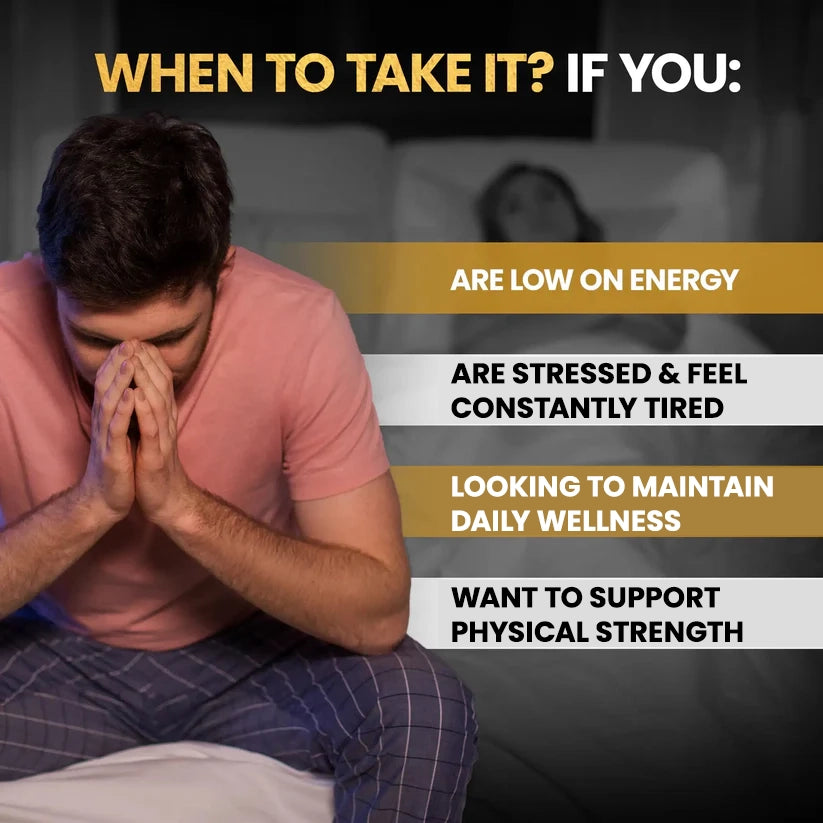 Shelavista Shilajit Gold Capsules | Ayurvedic Daily Energy & Wellness Support