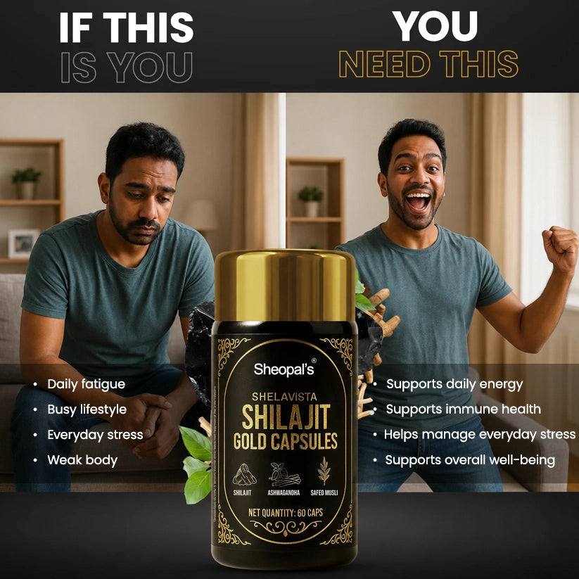 Shelavista Shilajit Gold Capsules | Ayurvedic Daily Energy & Wellness Support