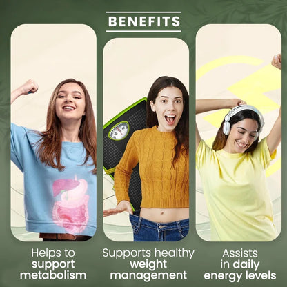 Sheopals Green Coffee Beans for Healthy Weight Management